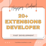 Browser Extensions for Developer